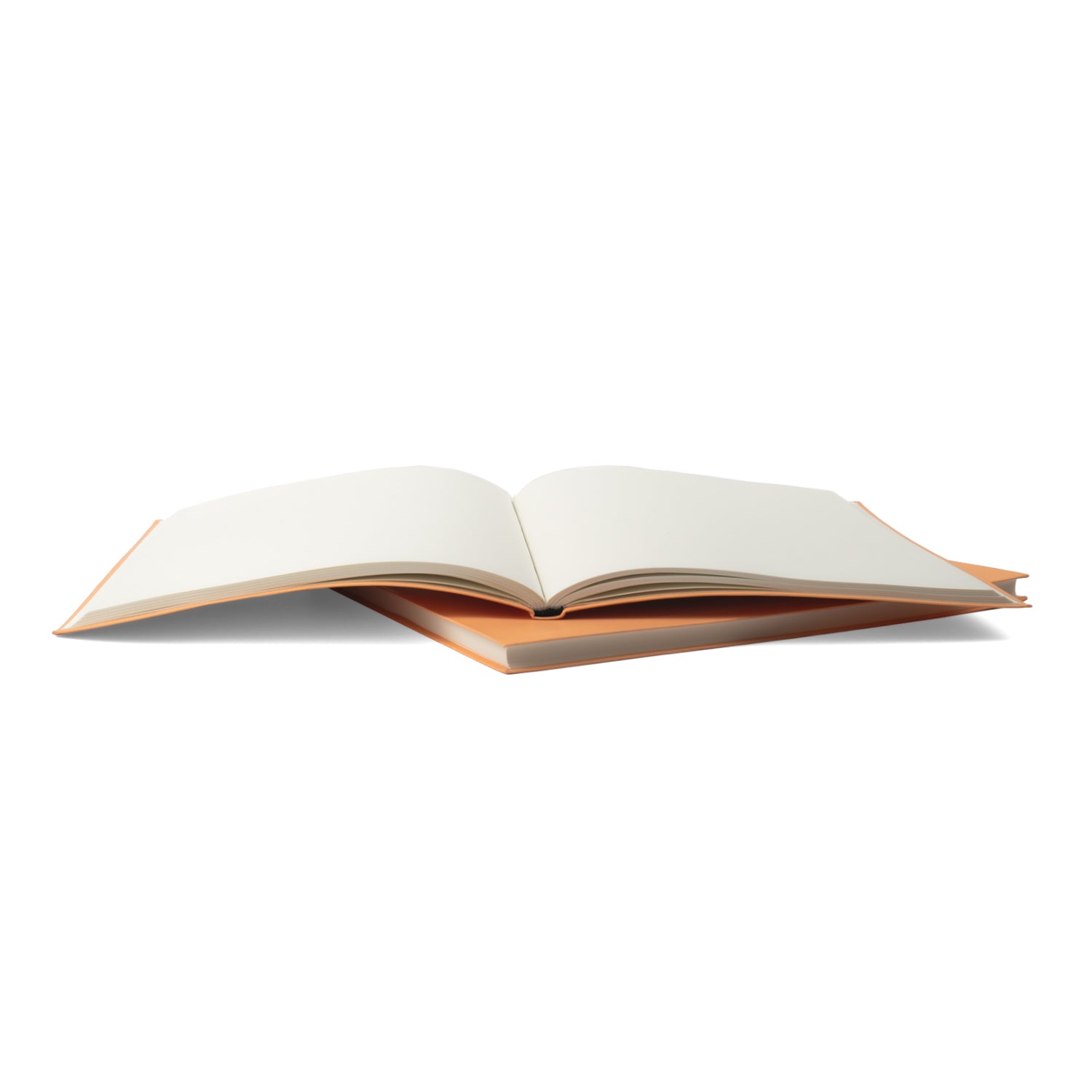 Libreta Feminista - Brujas Poderosas